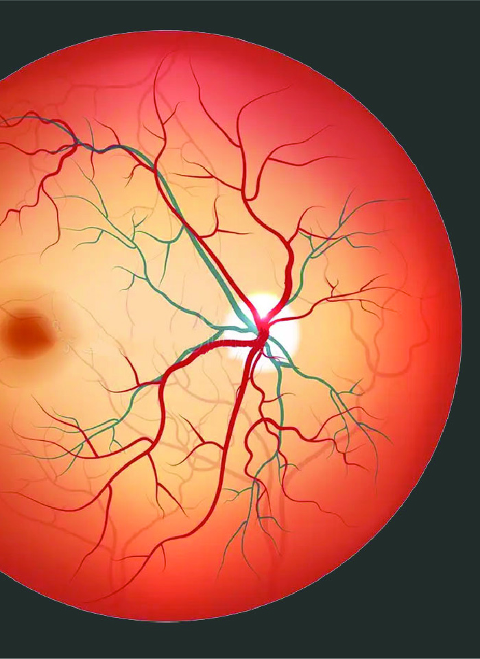 specialty-x-retina